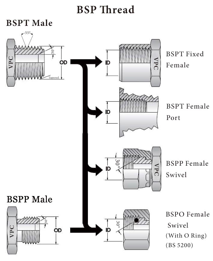 fil de bsp